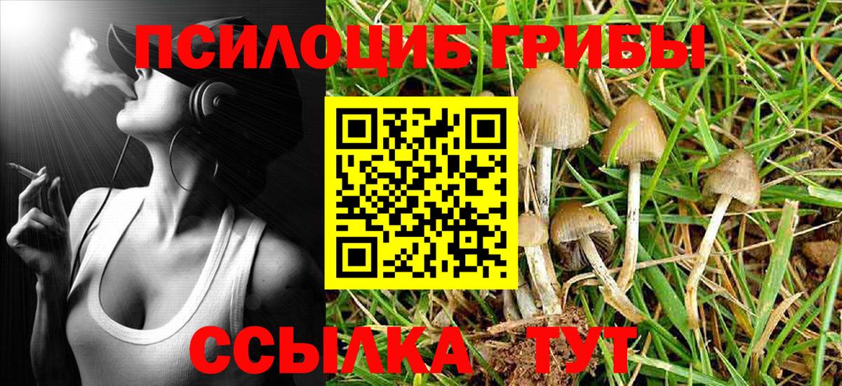 Галлюциногенные грибы Magic Shrooms  Псилоцибиновые грибы прущие грибы  Первоуральск  Вход с VPN 
