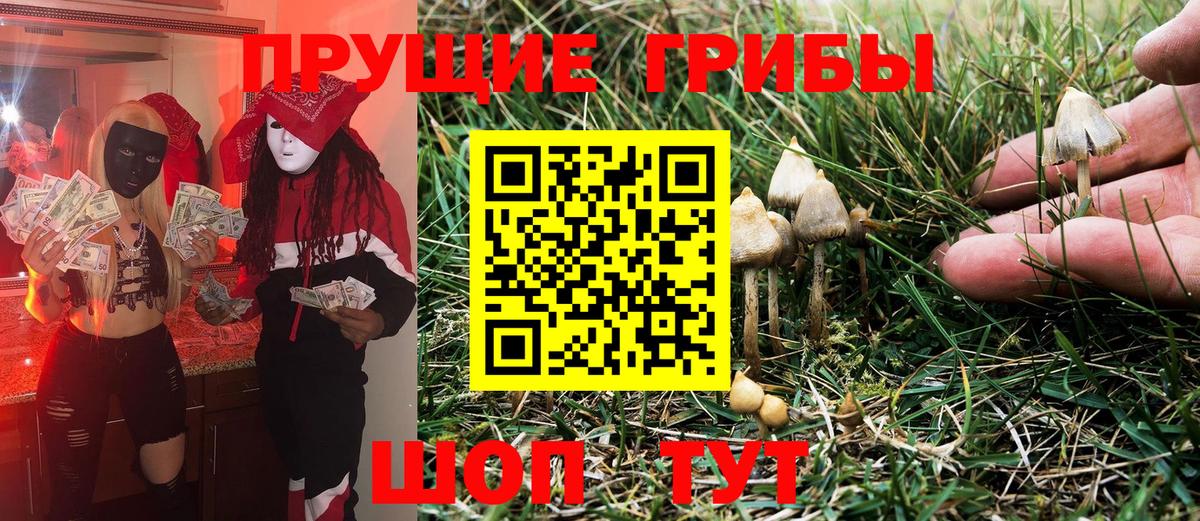 Псилоцибиновые грибы Cubensis Первоуральск
